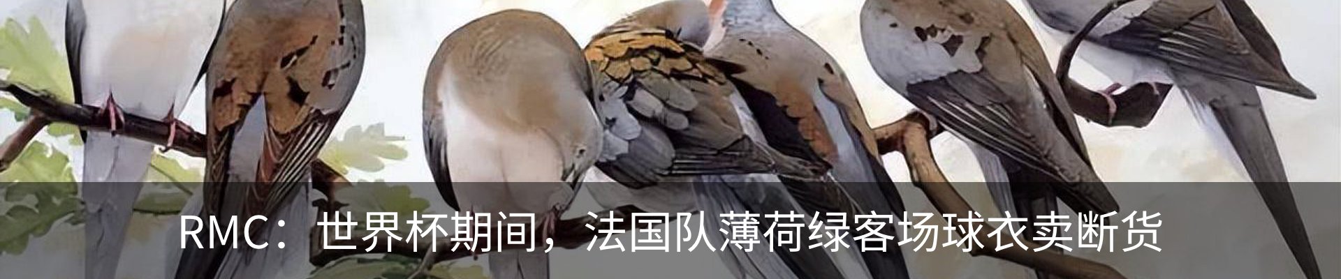 最新动态